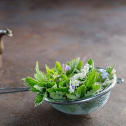 Sitko kuchenne stalowe z rączką okrągłe cedzak durszlak przesiewacz 12 cm