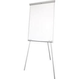 FLIPCHART 2X3 ecoBOARDS