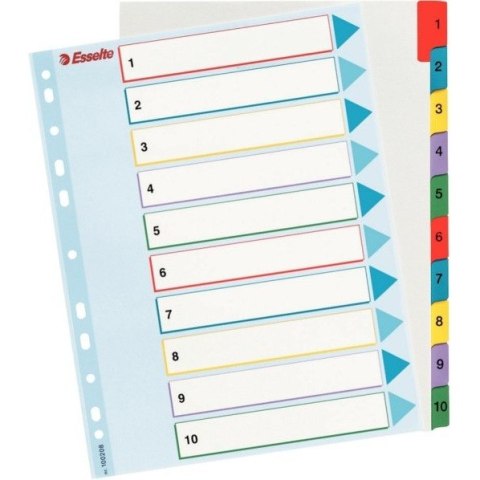 PRZEKŁADKI MYLAR ESSELTE A4 1-10 PRZEKŁADKI MYLAR ESSELTE A4 1-10