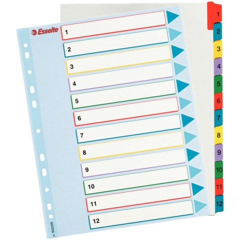 PRZEKŁADKI MYLAR ESSELTE A4 1-12 PRZEKŁADKI MYLAR ESSELTE A4 1-12