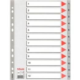 PRZEKŁADKI PP ESSELTE A4 1-12