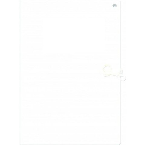 TECZKA KARTONOWA WIĄZANA A4+ BIAŁA