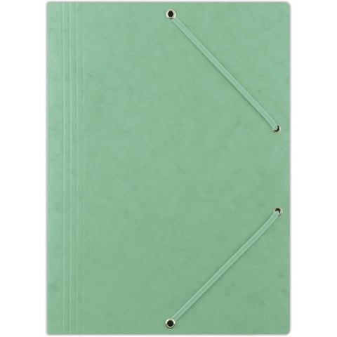 Teczka preszpanowa z gumką Donau A4 zielona