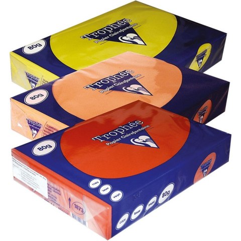 Papier Trophee A4/80g stalowy szary (500)