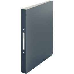 Segregator ringowy Leitz Cosy A4/32mm 2R szary