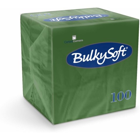 Serwetki BulkySoft 24x24cm 2w celulozowe zielone (100) Serwetki BulkySoft 24x24cm 2w celulozowe zielone (100)