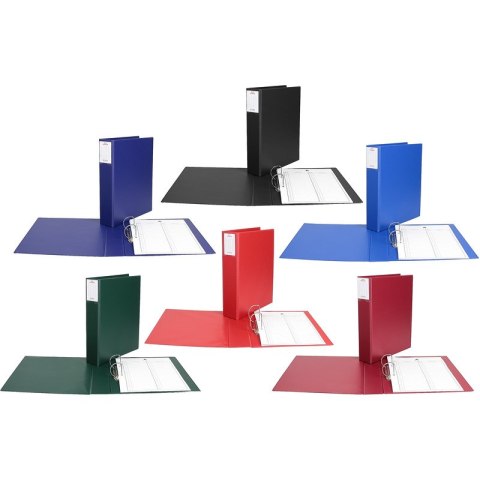 Segregator do akt osobowych Biurfol A4/5.5cm 2R cz Segregator do akt osobowych Biurfol A4/5.5cm 2R cz