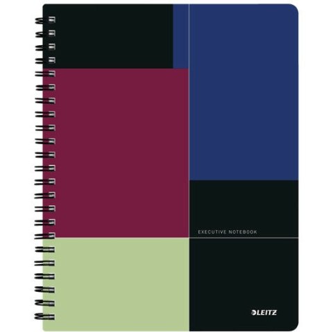 KOŁONOTATNIK LEITZ EXECUTIVE A4/80K LINIA