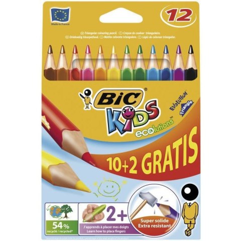 KREDKI BIC EVOLUTION TRIANGLE 12 KOLORÓW