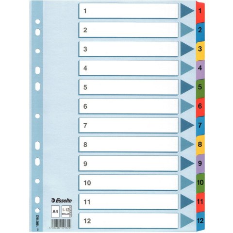 PRZEKŁADKI MYLAR ESSELTE A4 1-12
