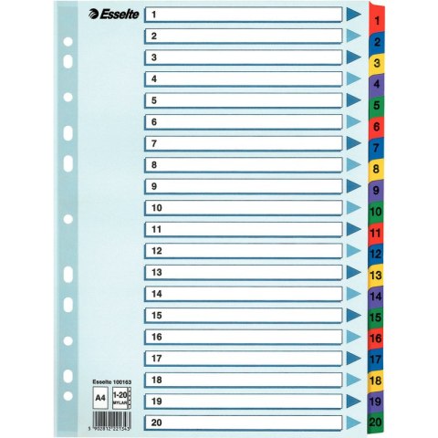 PRZEKŁADKI MYLAR ESSELTE A4 1-20