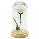 Wieczna Róża W Szkle Kopuła Oświetlenie LED Biała 21x11cm