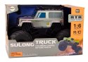 Duże Auto Terenowe Zdalnie Sterowane Suv 2.4G RC 1:6 Szary LEAN Toys