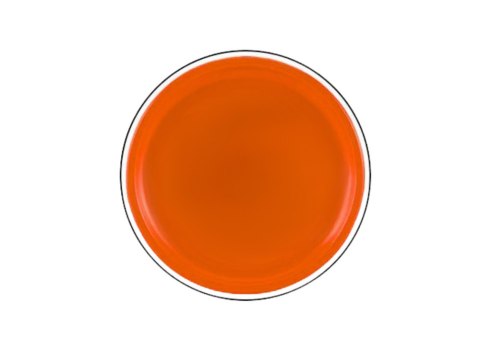 Dysk Latający Frisbee z Dinozaurem Pomarańczowy 20 Cm LEAN TOYS Dysk Latający Frisbee z Dinozaurem Pomarańczowy 20 Cm LEAN TOYS
