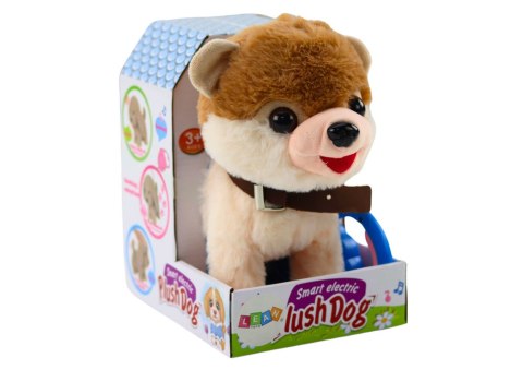 Pies Interaktywny Na Smyczy Chodzi Tańczy Śpiewa Biało Beżowy LEAN Toys Pies Interaktywny Na Smyczy Chodzi Tańczy Śpiewa Biało Beżowy LEAN Toys