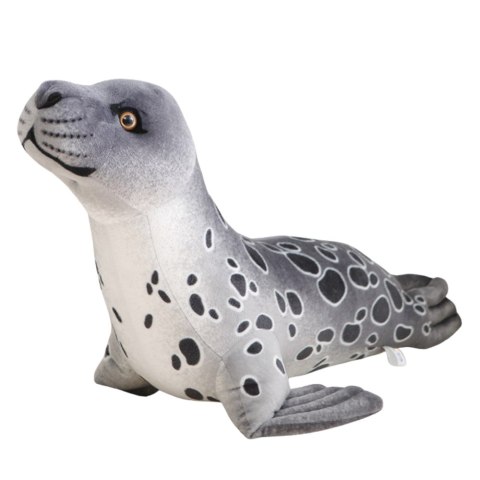 Pluszowa Maskotka Przytulanka Foka Szara 37cm LEAN Toys Pluszowa Maskotka Przytulanka Foka Szara 37cm LEAN Toys