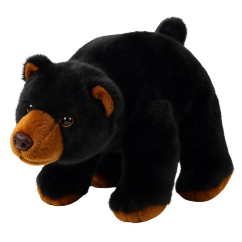 Pluszowa Maskotka Przytulanka Niedźwiedź Czarny 28cm LEAN Toys Pluszowa Maskotka Przytulanka Niedźwiedź Czarny 28cm LEAN Toys