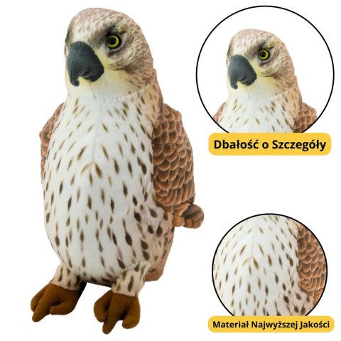 Pluszowa Maskotka Przytulanka Ptak Sokół Wędrowny Brązowy 30cm LEAN Toys Pluszowa Maskotka Przytulanka Ptak Sokół Wędrowny Brązowy 30cm LEAN Toys