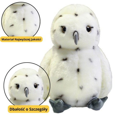 Pluszowa Sowa Ptak Pluszak Maskotka Przytulanka Biała 23cm LEAN Toys Pluszowa Sowa Ptak Pluszak Maskotka Przytulanka Biała 23cm LEAN Toys