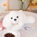 Pluszowy Piesek Maltańczyk Z Obciążonymi Łapami Biały 30cm LEAN Toys