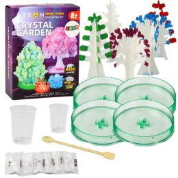 Zestaw Edukacyjny Doświadczenie Hodowla Kryształów Drzewka LEAN Toys