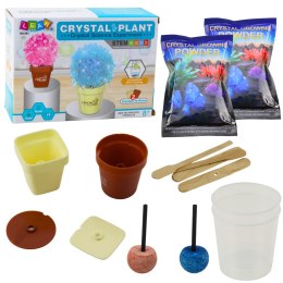 Zestaw Edukacyjny Hodowla Magiczne Drzewko Kryształowe LEAN Toys