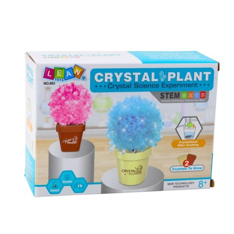 Zestaw Edukacyjny Hodowla Magiczne Drzewko Kryształowe LEAN Toys Zestaw Edukacyjny Hodowla Magiczne Drzewko Kryształowe LEAN Toys
