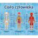 Gra Edukacyjna Ciało człowieka/ Mistrz Wiedzy Trefl 01957 Trefl Gry