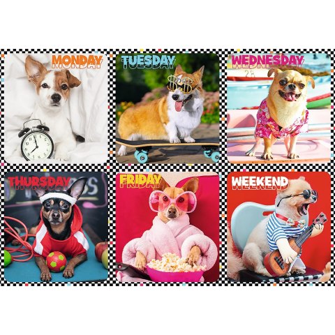 Puzzle - 200 - Wesołe psy - Trefl 13279 Trefl Puzzle Puzzle - 200 - Wesołe psy - Trefl 13279 Trefl Puzzle