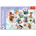 Puzzle - "300" - Zdjęcia z wakacji / Trefl 23003 Trefl Puzzle