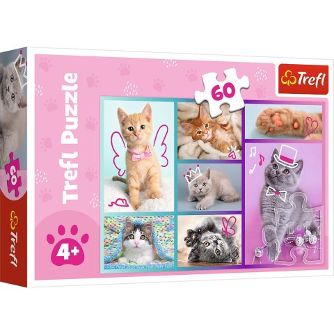 Puzzle - "60"- Słodkie kociaki / Trefl 17373 Trefl Puzzle Puzzle - "60"- Słodkie kociaki / Trefl 17373 Trefl Puzzle