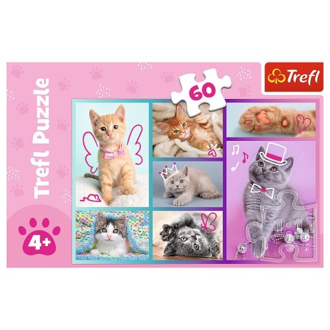 Puzzle - "60"- Słodkie kociaki / Trefl 17373 Trefl Puzzle Puzzle - "60"- Słodkie kociaki / Trefl 17373 Trefl Puzzle