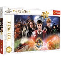 Puzzle Harry Potter 300 el. Tajemniczy Harry Potter 23001 Trefl Puzzle