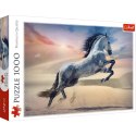 Puzzle - "1000" - Majestatyczny koń Trefl 10790 Trefl Puzzle