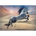 Puzzle - "1000" - Majestatyczny koń Trefl 10790 Trefl Puzzle
