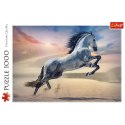 Puzzle - "1000" - Majestatyczny koń Trefl 10790 Trefl Puzzle