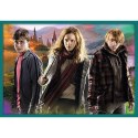 Puzzle 10w1 Harry Potter W świecie Harrego Pottera 90392 Trefl Puzzle