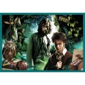 Puzzle 10w1 Harry Potter W świecie Harrego Pottera 90392 Trefl Puzzle