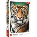Puzzle - "1500" - Portret tygrysa Trefl 26204 Trefl Puzzle