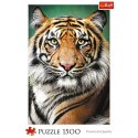 Puzzle - "1500" - Portret tygrysa Trefl 26204 Trefl Puzzle