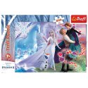 Puzzle - 200 - Magiczny świat sióstr - Disney Frozen Trefl 13265 Trefl Puzzle