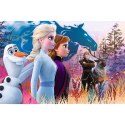 Puzzle - "24 Maxi" - Magiczna wyprawa Frozen 2 Trefl 14298 Trefl Puzzle