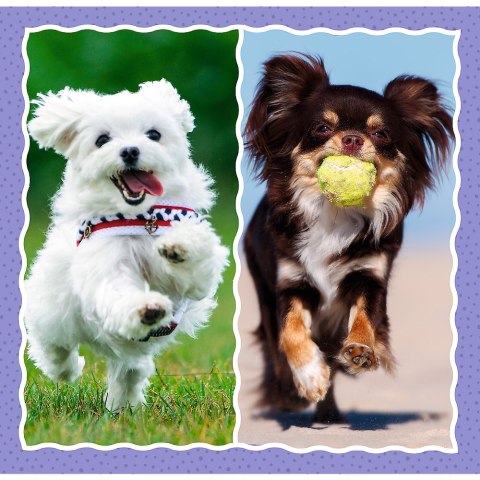 Puzzle - 3w1 - Urocze pieski - Trefl 34854 Trefl Puzzle Puzzle - 3w1 - Urocze pieski - Trefl 34854 Trefl Puzzle