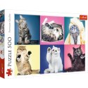 Puzzle 500 el. Kociaki Trefl 37377 Trefl Puzzle