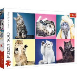 Puzzle 500 el. Kociaki Trefl 37377 Trefl Puzzle