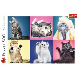 Puzzle 500 el. Kociaki Trefl 37377 Trefl Puzzle
