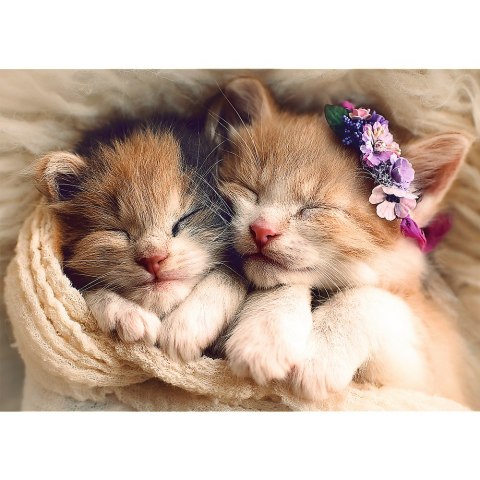 Puzzle 500 el. Śpiące kotki Trefl 37271 Trefl Puzzle Puzzle 500 el. Śpiące kotki Trefl 37271 Trefl Puzzle