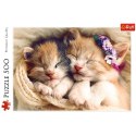 Puzzle 500 el. Śpiące kotki Trefl 37271 Trefl Puzzle