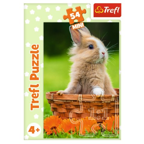 Puzzle - 54 mini - Urocze zwierzątka - Trefl 54195 Trefl Puzzle Puzzle - 54 mini - Urocze zwierzątka - Trefl 54195 Trefl Puzzle