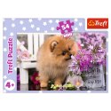 Puzzle - 54 mini - Urocze zwierzątka - Trefl 54195 Trefl Puzzle